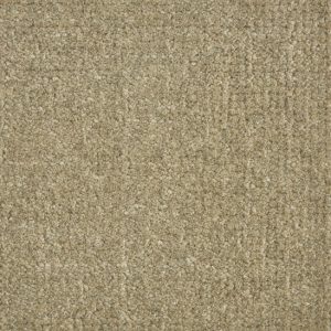 Homestead-Taupe Carpet 