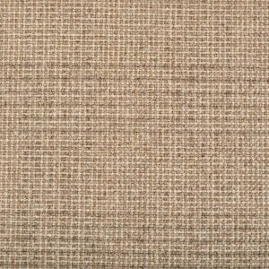 Indra-Fossil Carpet 
