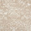 Imagery-Shell Carpet 