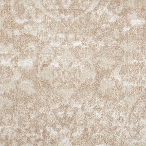Imagery-Shell Carpet Imagery-Shell Carpet