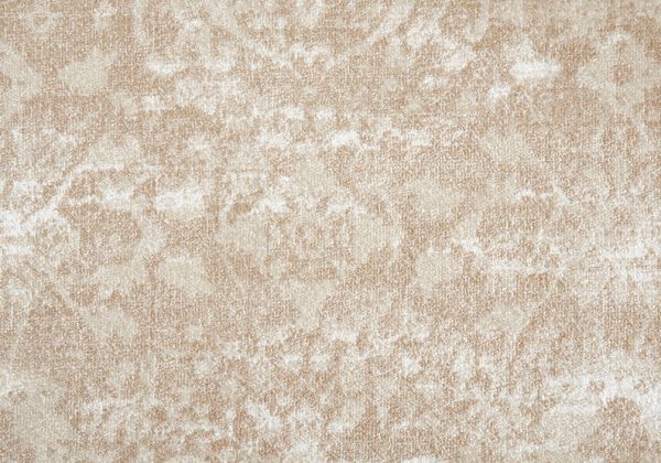 Imagery-Shell Carpet 