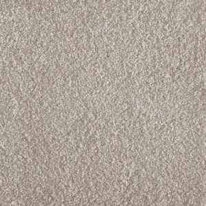 Jazzy-Champagne Carpet 