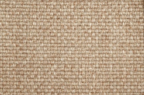Kindred-Shell Carpet, stantoncarpet 