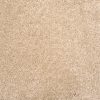 Lancelot-Sand Dollar Carpet 