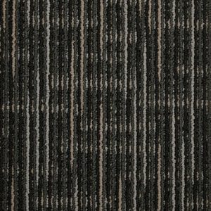 Longitude-Sable Commercial Carpet, stantoncarpet 