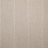 Lysander-Chiffon Carpet 