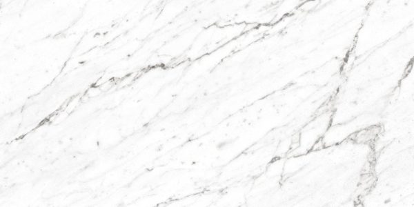 Marbles Matte 24x48-Carrara White Porcelain, Tiles 