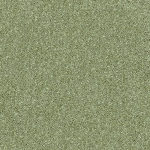 Going Green Going Green