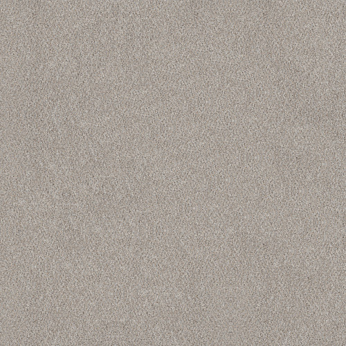 White Wash White Wash