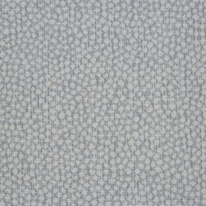 Maddox Cheetah-Cloud Carpet 