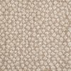 Mirage Cheetah-Barley Carpet 