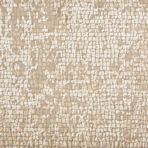 Momentum-Desert Carpet 