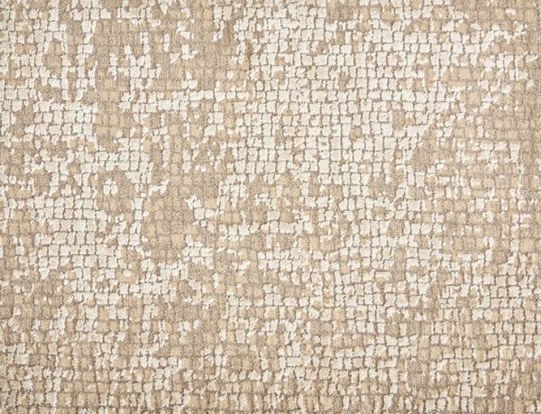 Momentum-Desert Carpet 