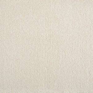 Muse-Antique Carpet 
