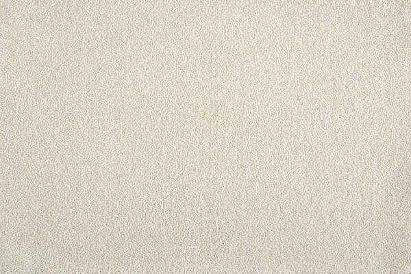 Muse-Antique Carpet 