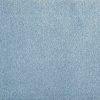 Muse-Cerulean Carpet 