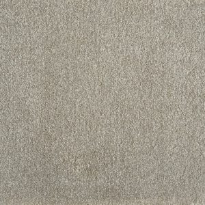 Muse-Stone Carpet 
