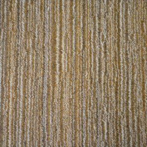 Nottingham-Burnt Orange Carpet 