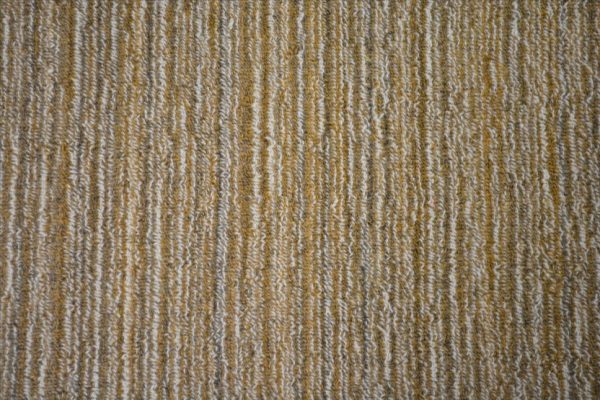 Nottingham-Burnt Orange Carpet 