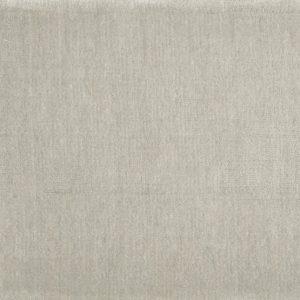 Nexus Abyss-Greige Commercial Carpet, stantoncarpet 