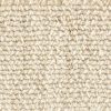 Nexus Dazzle-Chamois Commercial Carpet, stantoncarpet 