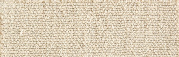 Nexus Dazzle-Chamois Commercial Carpet, stantoncarpet 