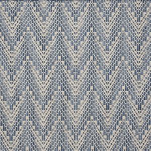 Origins-Indigo Carpet 