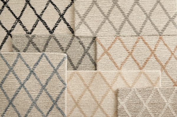 Paragon Point-Canvas Carpet 