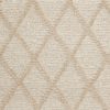 Paragon Point-Canvas Carpet 