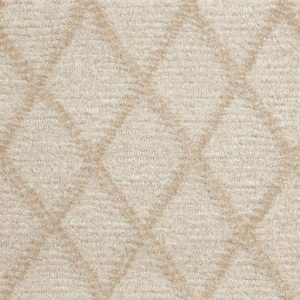 Paragon Point-Canvas Carpet 