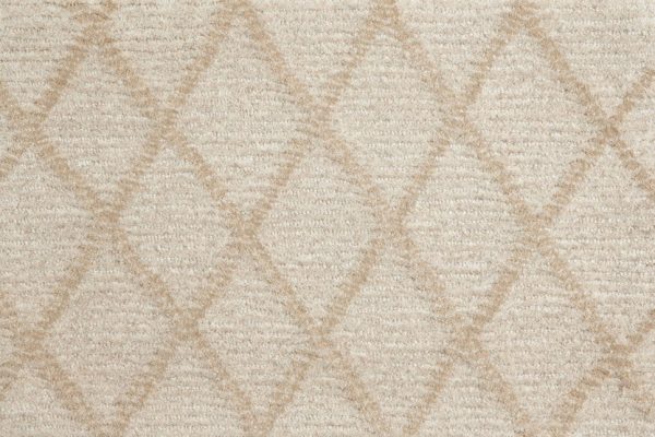 Paragon Point-Canvas Carpet 