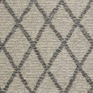 Paragon Point-Flannel Carpet 