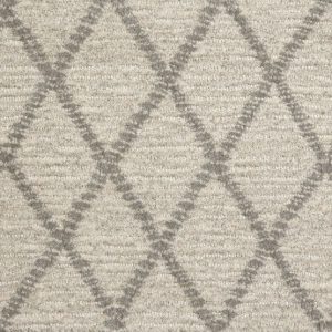 Paragon Point-Grey Frost Carpet 
