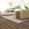 Paragon Point-Canvas Carpet 