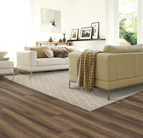 Paragon Point-Canvas Carpet 