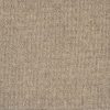 Parker Ridge-Dakota Tan Carpet 