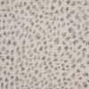 Paxton Cheetah-Platinum Carpet 