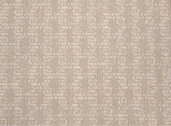 Paxton Paradox-French Gold Carpet 