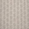 Paxton Paradox-Platinum Carpet 