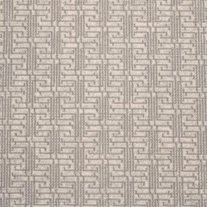 Paxton Paradox-Platinum Carpet 