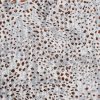 Pop Rock-Spice Carpet 