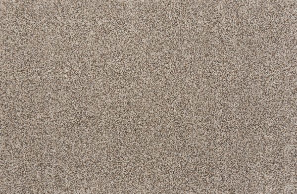 Quest Plush I-Bark Carpet 