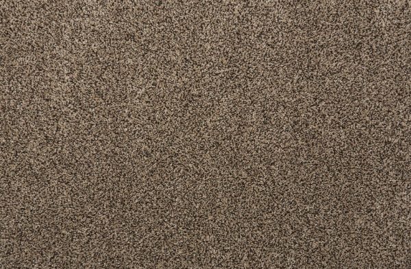 Quest Plush I-Coco Carpet 