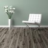1006 Weathered Acacia  