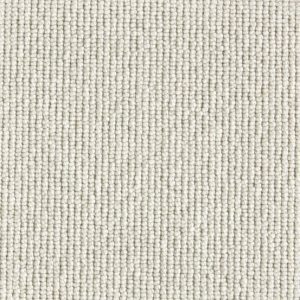 Rogue-Dove Carpet 
