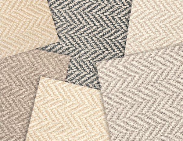 Sagamore-Chiffon Carpet 