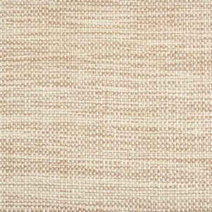 Saunders Beach-Dune Indoor / Outdoor, stantoncarpet Saunders Beach-Dune Indoor / Outdoor, stantoncarpet