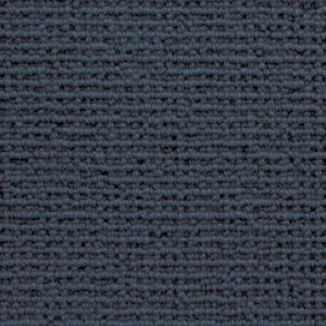 Sequoia-Indigo Carpet 
