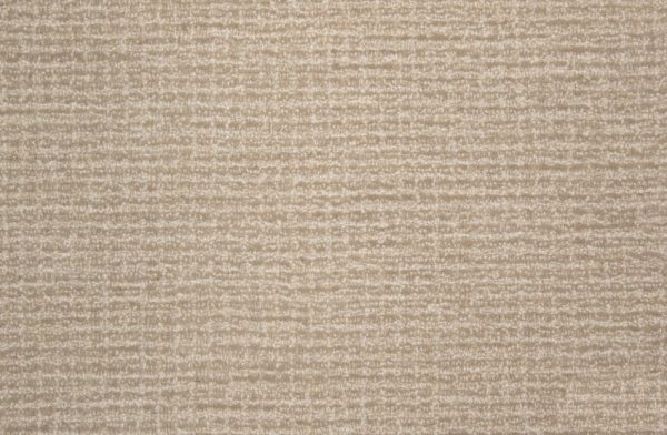Sera-Ecru Carpet 