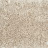 Shaggy Kismet-Champagne Carpet 